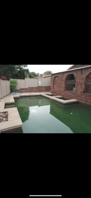 green pool next to brick house